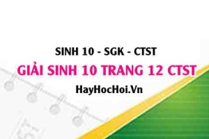 Giải Sinh 10 trang 12 Chân trời sáng tạo SGK